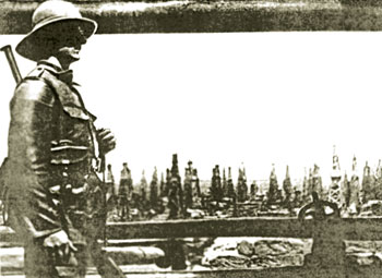 british_policy_article